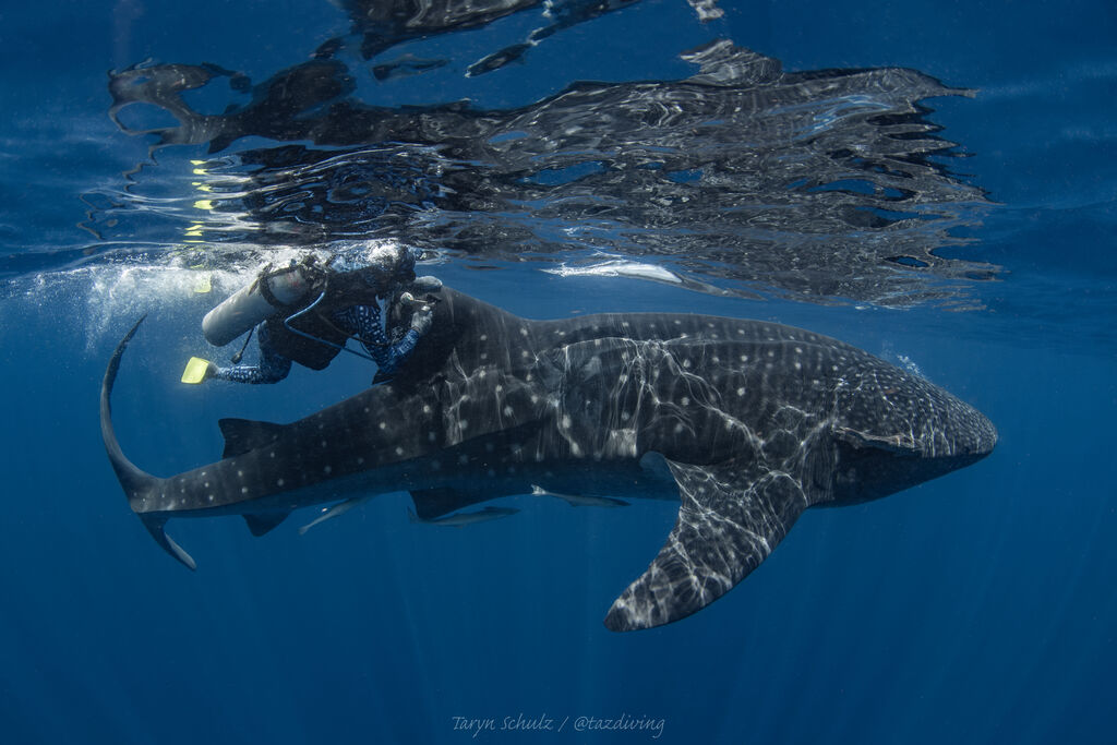 b3e49653-c405-4c48-bb37-f98ee8b7dcff