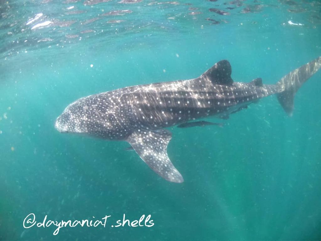 22acd44a-ee70-44d8-879b-2231ea10ea85