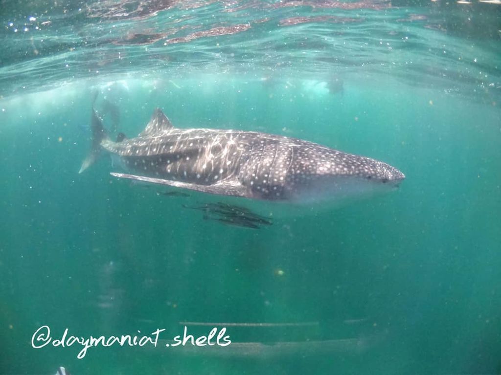 22acd44a-ee70-44d8-879b-2231ea10ea85