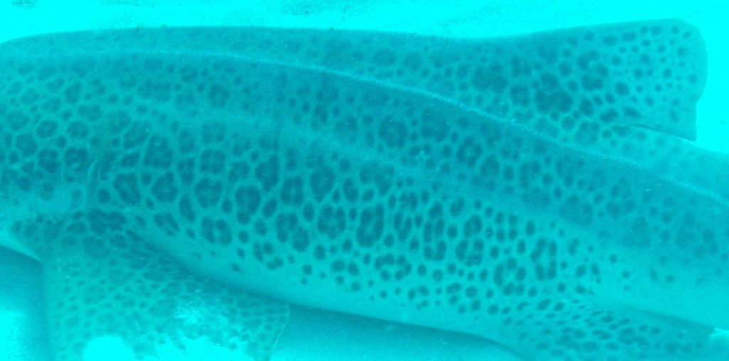 2749e10b-28e8-4b2b-a3d7-5524d5ba3be2