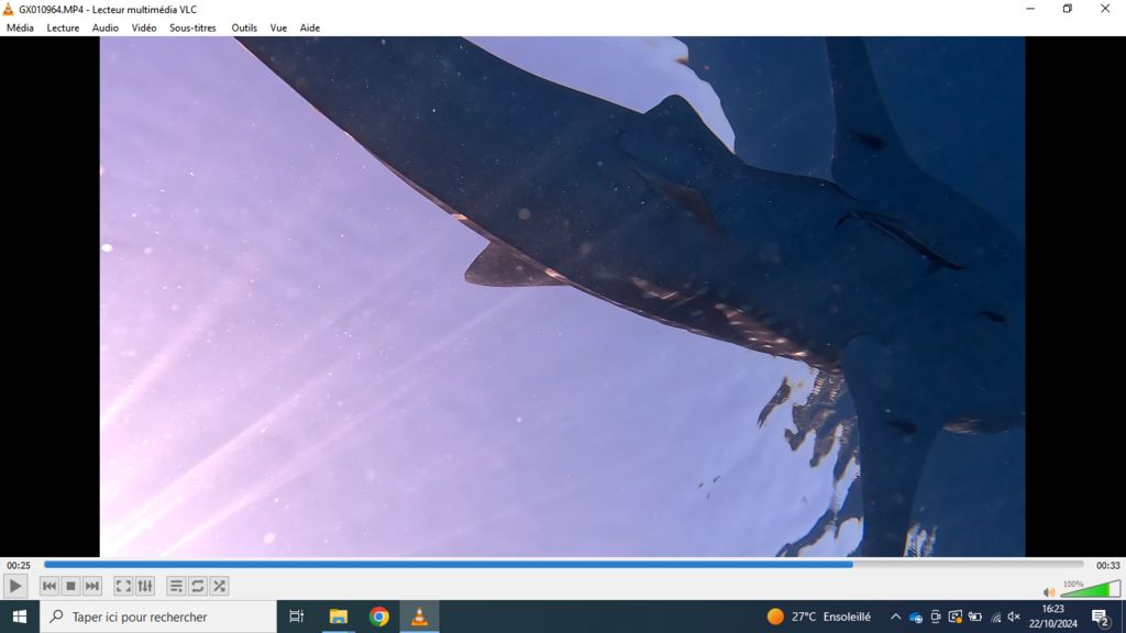 55e1bf77-4188-42a1-b3da-052621699cd1