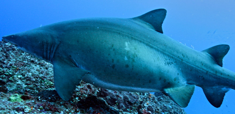 15741e16-81c7-4436-b9ab-e3516e61ee61