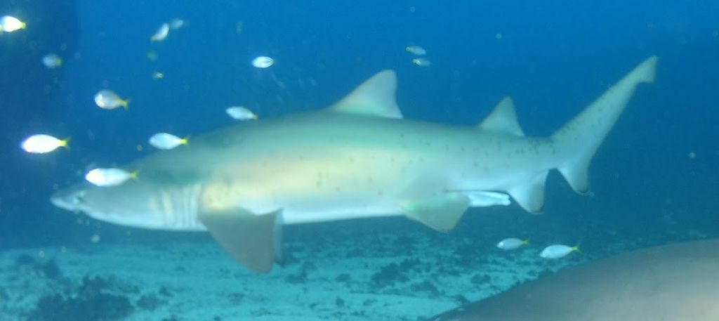 4d862df1-c59e-48ae-b8cb-ca69f46c408f