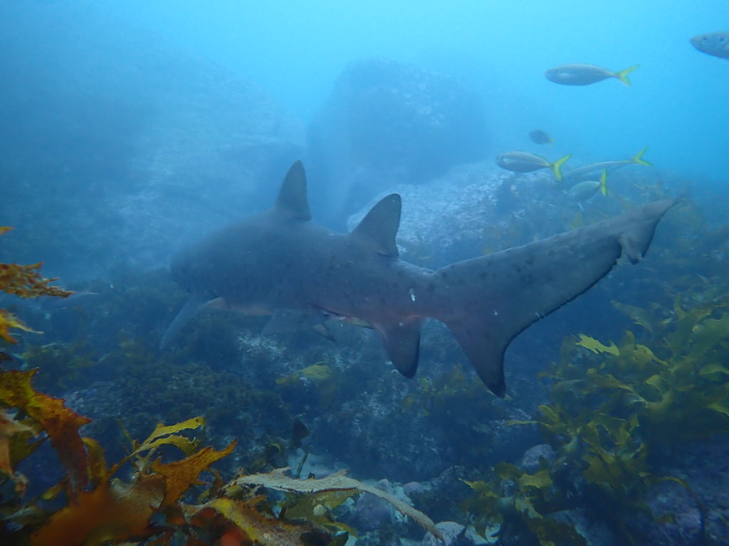 31d401b2-a609-4d69-9ebd-4c0628b4477e