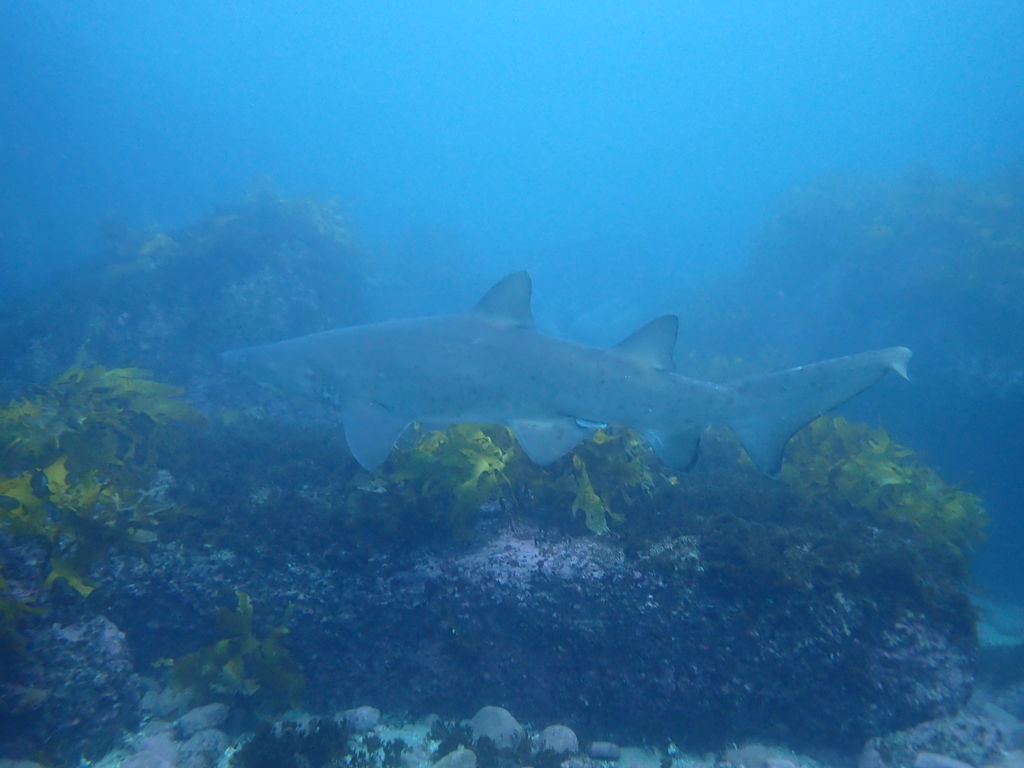 31d401b2-a609-4d69-9ebd-4c0628b4477e