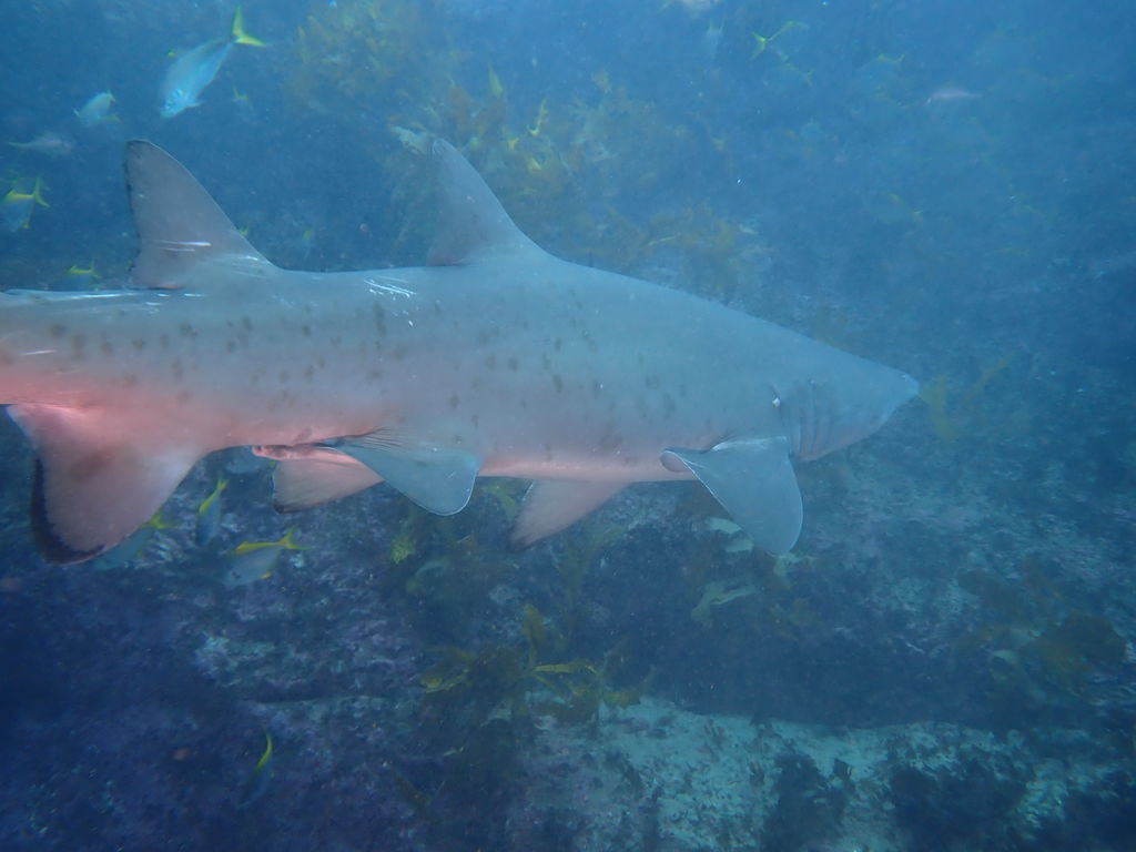 31d401b2-a609-4d69-9ebd-4c0628b4477e