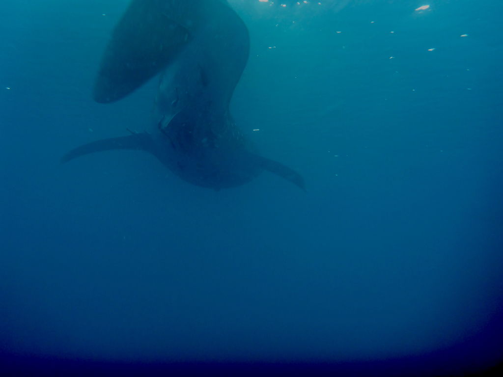 3f8fe4aa-ef49-498c-9689-542641c880ba