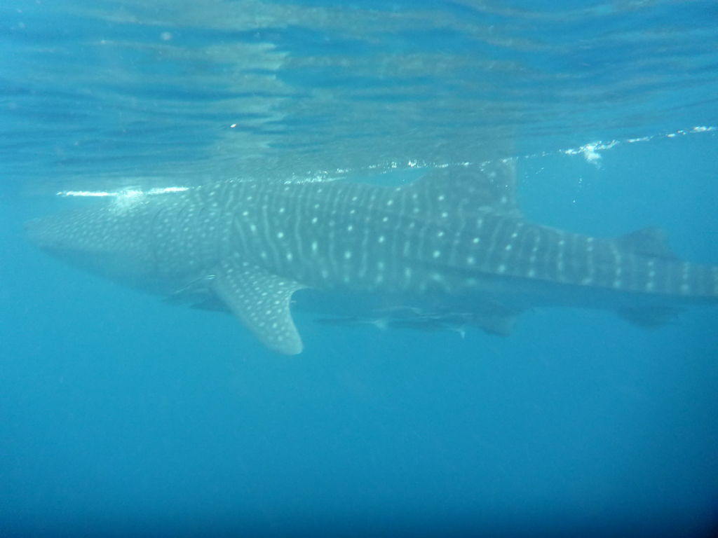 3f8fe4aa-ef49-498c-9689-542641c880ba