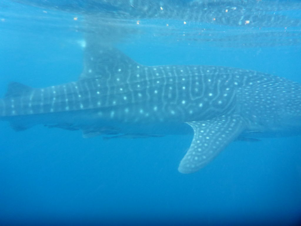 3f8fe4aa-ef49-498c-9689-542641c880ba