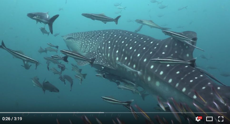 4b492b6e-8188-47ad-b1a0-8b9a252526d7