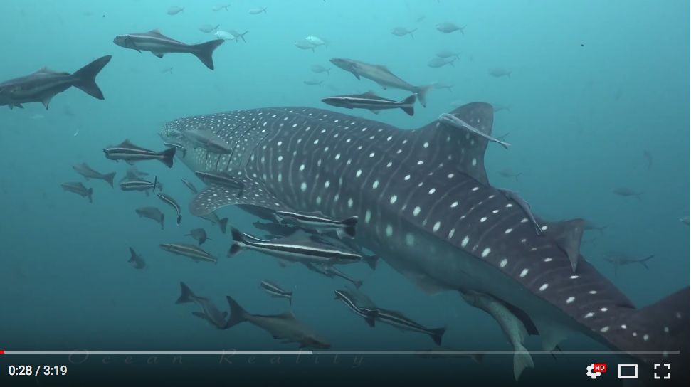 4b492b6e-8188-47ad-b1a0-8b9a252526d7