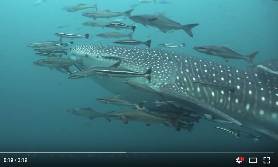 4b492b6e-8188-47ad-b1a0-8b9a252526d7