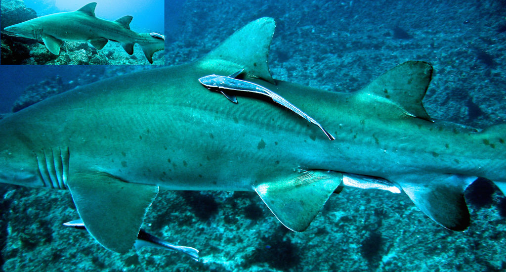 cbb88795-f0d4-4607-8fcc-f2b8d1d60258