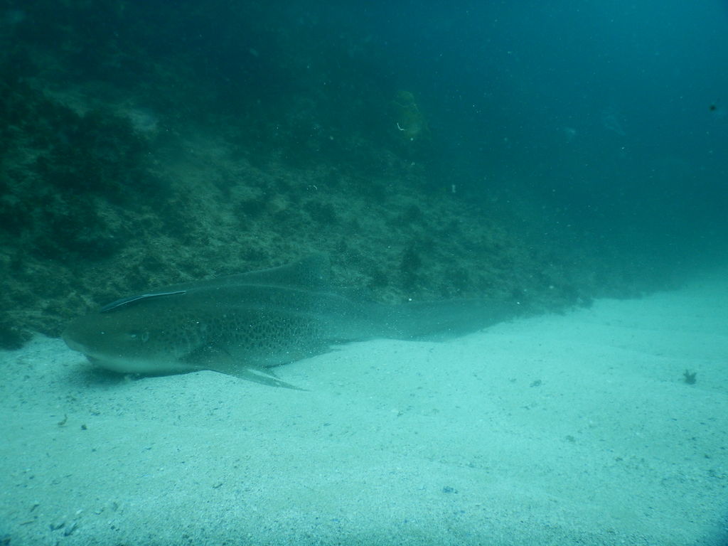 8b19ef28-54d4-495a-a96f-7a20df7d45f0