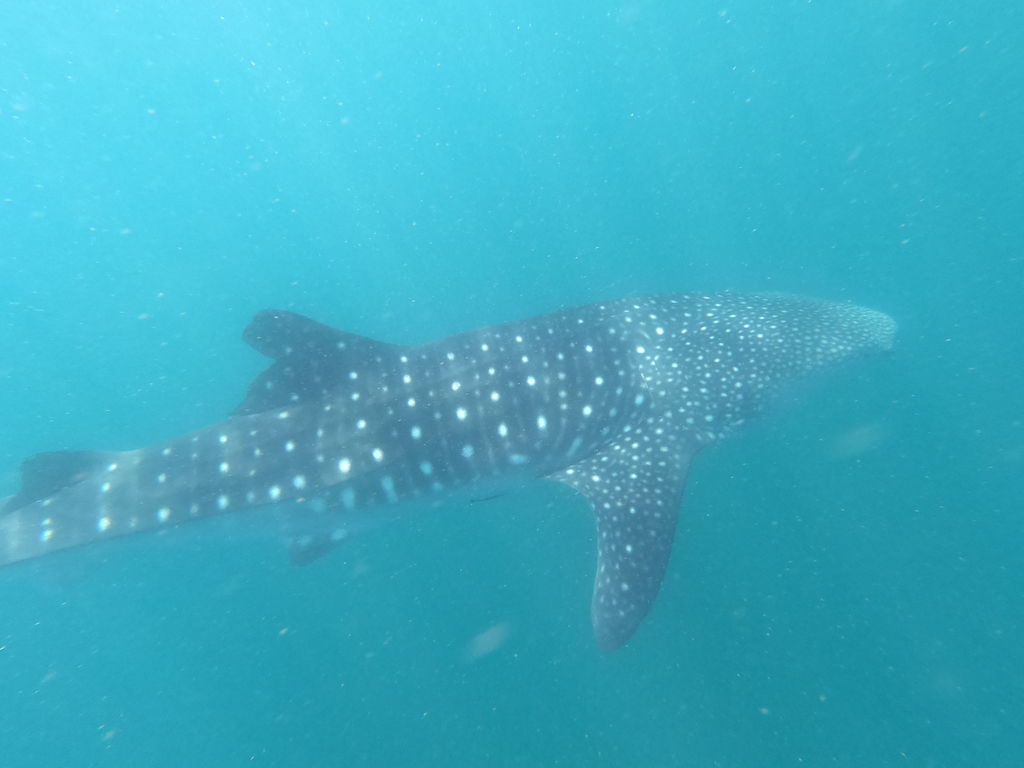 dcf2d147-1b4a-4ef4-9441-823952b68be7