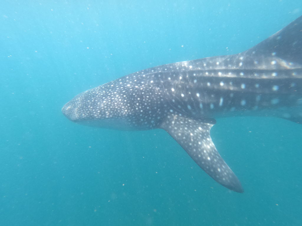 dcf2d147-1b4a-4ef4-9441-823952b68be7