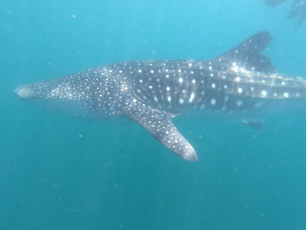 dcf2d147-1b4a-4ef4-9441-823952b68be7