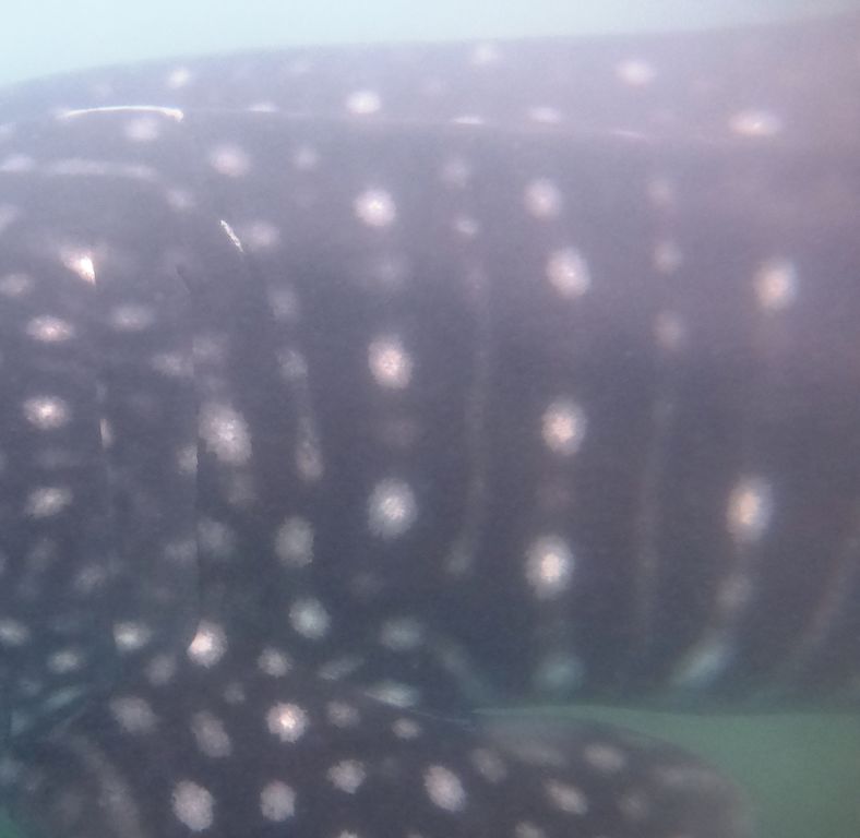 150e14f3-7322-4c8f-9a45-994bee4369c2