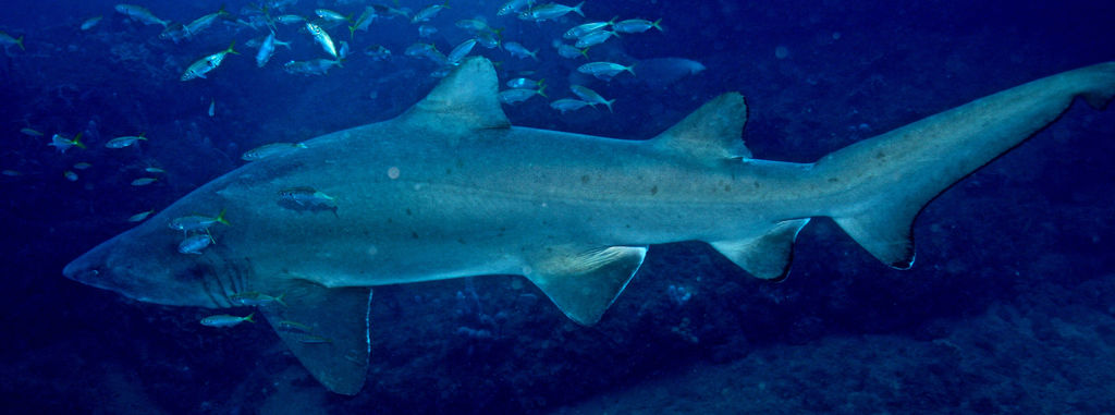 c201feae-bccd-43fb-bd48-e1c087aa7e00