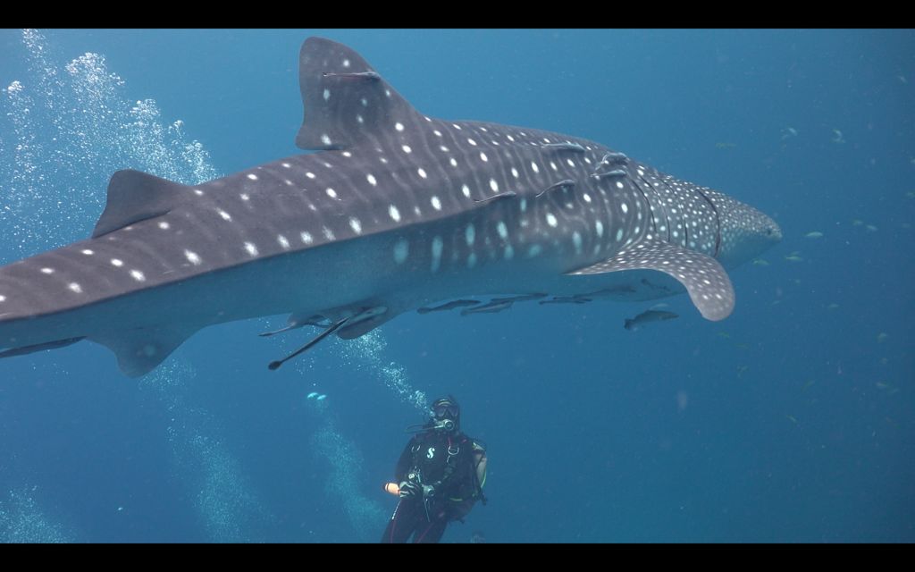 3769cdf6-aa78-4388-802a-29373a1307b8