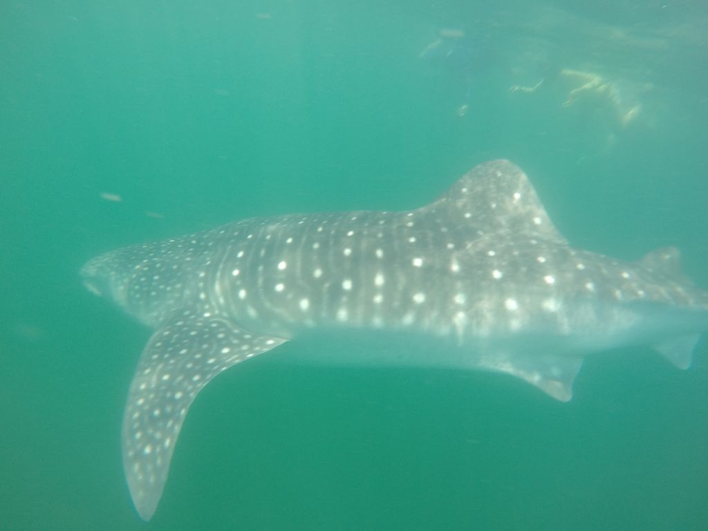 77110e63-99e5-4547-b4a1-17d6d2084211