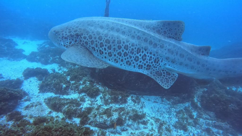 5f30e02f-fb5e-40c6-861d-e7f129cfba1e