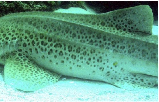 b48cf762-914c-41ed-b0a6-0f25b5601afc