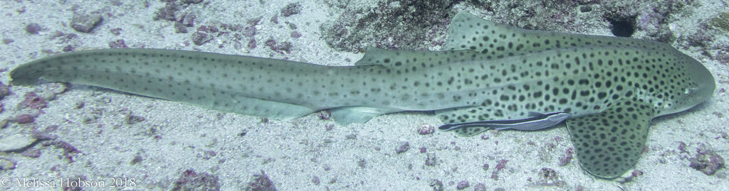 9a7f1c23-76ae-461a-a5fc-0e4d64c42845