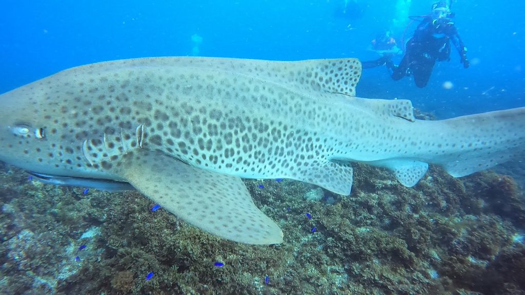 0f1b52fd-24d9-4343-b208-d184c78ab070