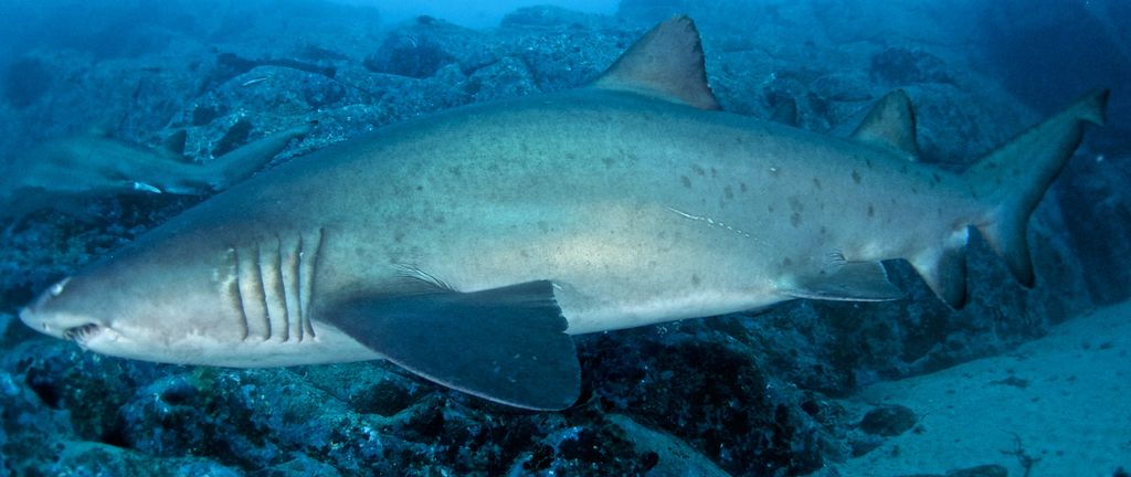 6e154147-02f5-4fb6-b28f-f77b84b07ce4