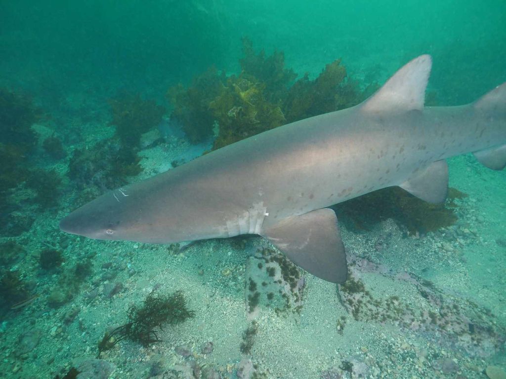 4ed9b274-eb64-4805-b8fe-ad217e52c9c5