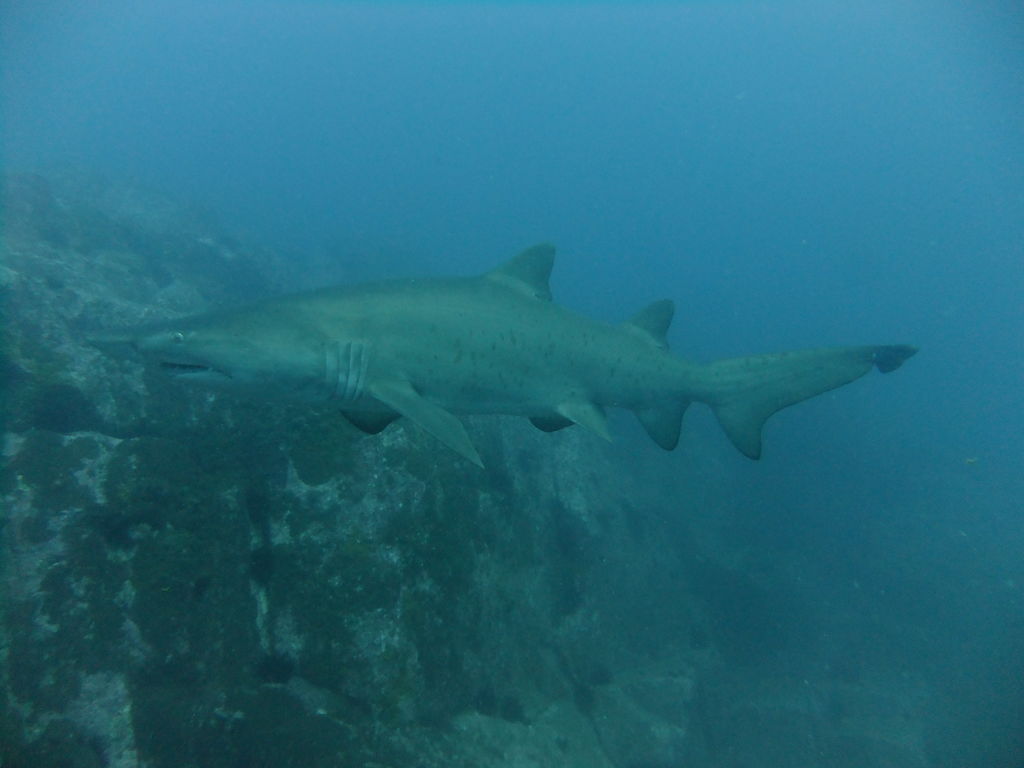 a68beca0-713e-4f9c-8386-74d14c616dbb