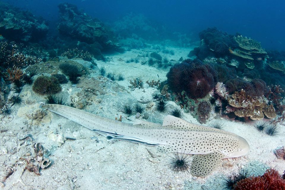 f90ed4af-e13d-400c-ad8d-1ca3000ff264