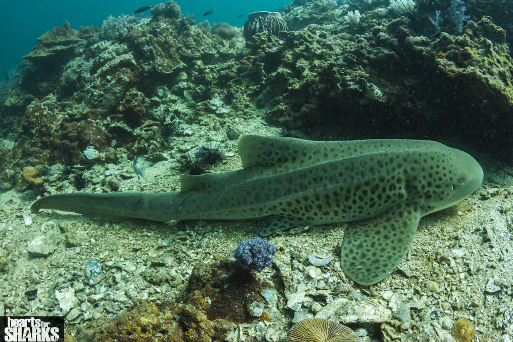 083f1a98-b58b-4d0c-86c1-026fb9c6711a