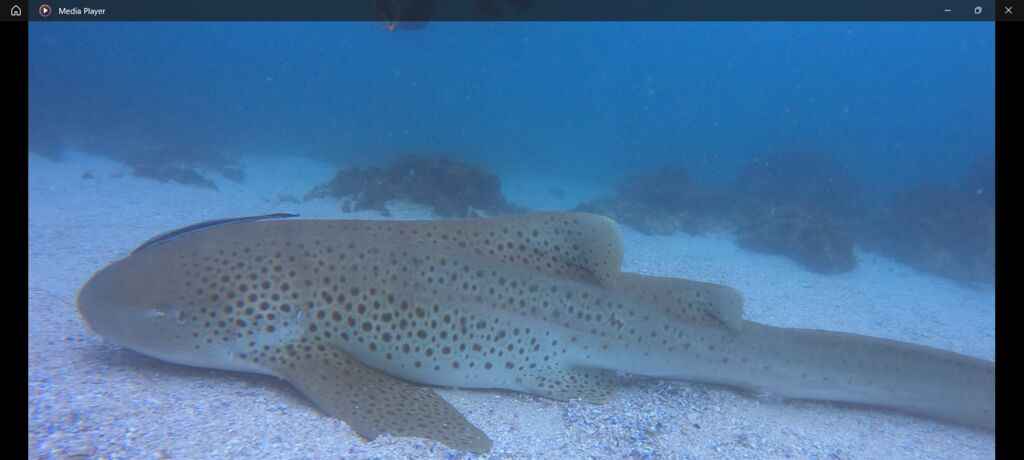 66767c8d-fc7a-44a3-a8ee-835d30b74de8