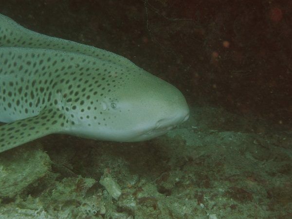 da44e834-b9f9-4b74-9fc7-4e34e12fed0c