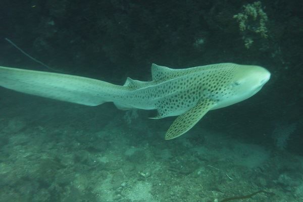 da44e834-b9f9-4b74-9fc7-4e34e12fed0c