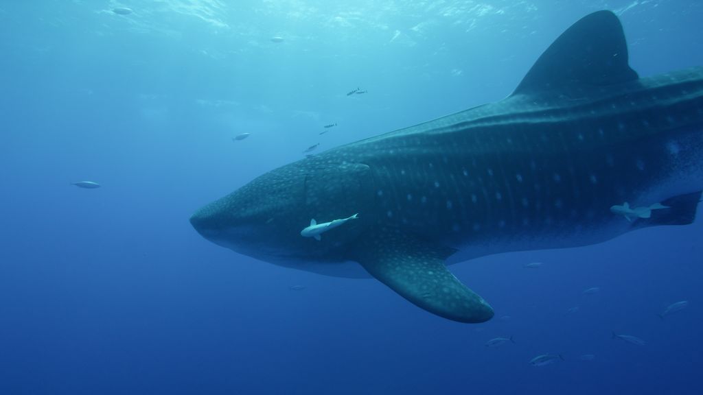 2dc4f022-5247-40e0-b69b-d7f2f3b14e48