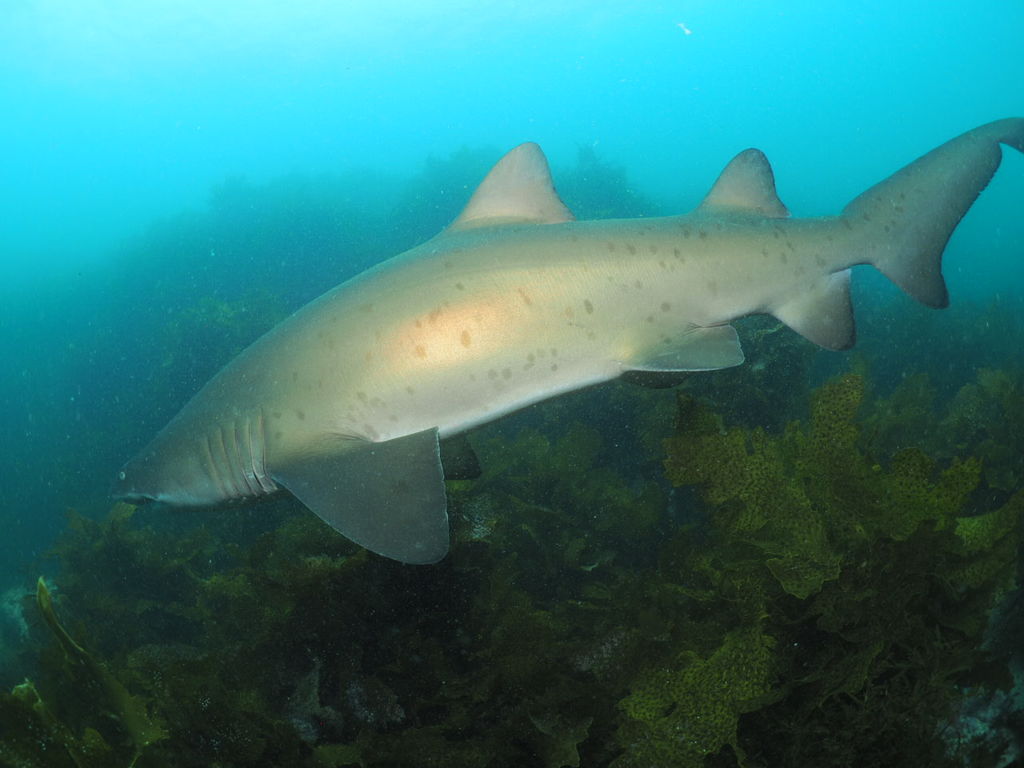 ab1ced0f-4fc9-477b-a74c-9643ea395837