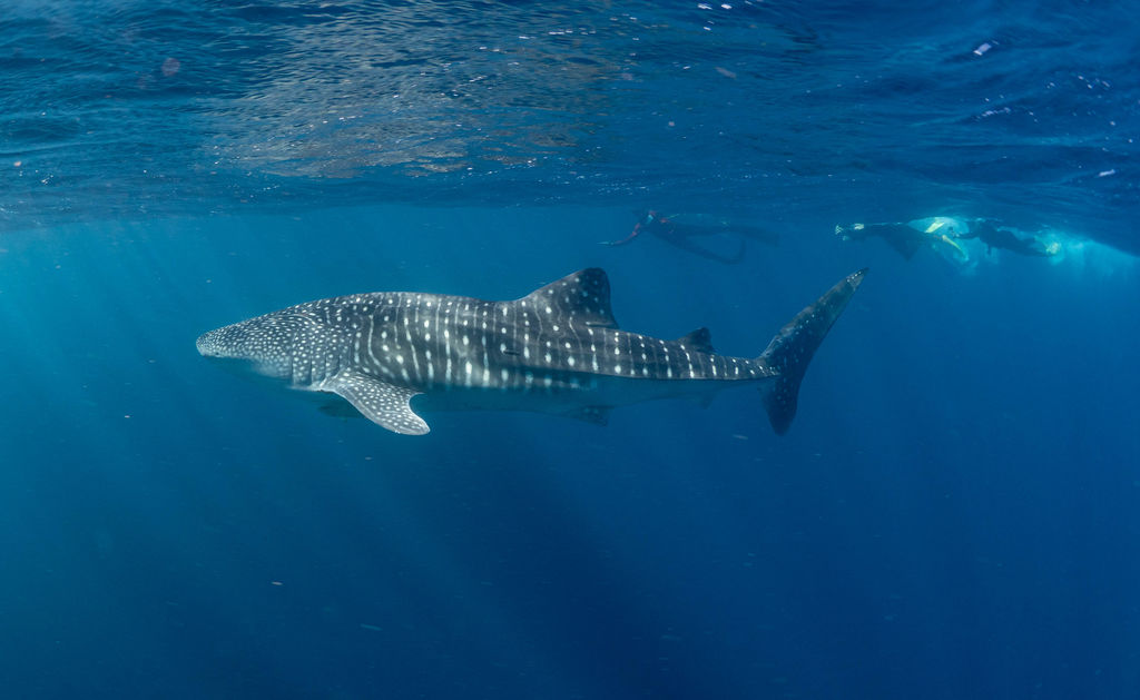 48e12763-c1fd-4bc1-98b1-470520a8c2a2