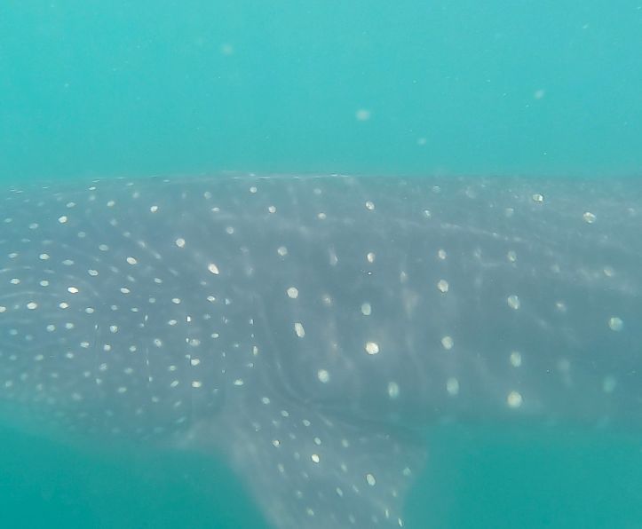 66ec7576-e3da-4fef-8f47-f8cf9d327d52