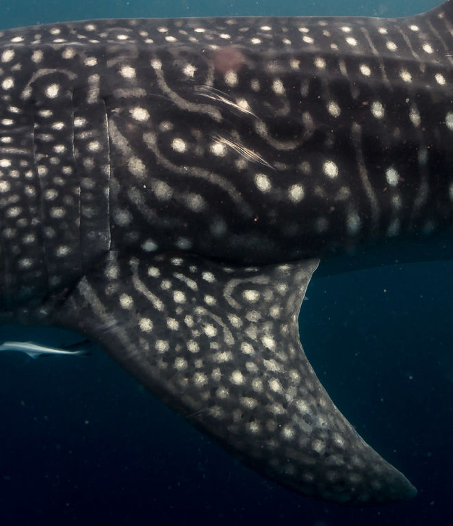 b9c052b3-45bc-43f1-a6e3-aec18ae8551f