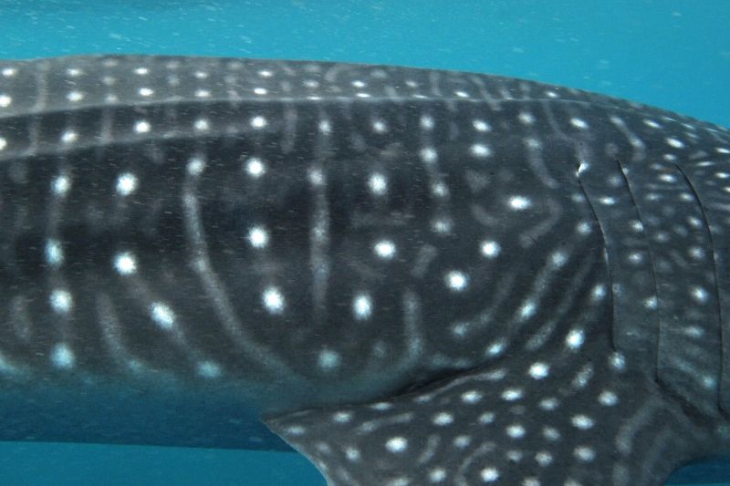 b28ee072-0be1-4874-9dbb-89fd0f28694d