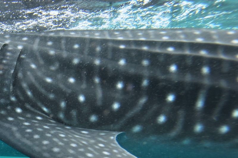 b28ee072-0be1-4874-9dbb-89fd0f28694d