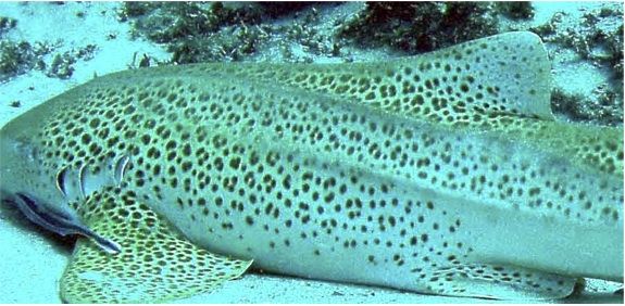 3ea8d4c0-9862-436f-907a-fda3230aacf7