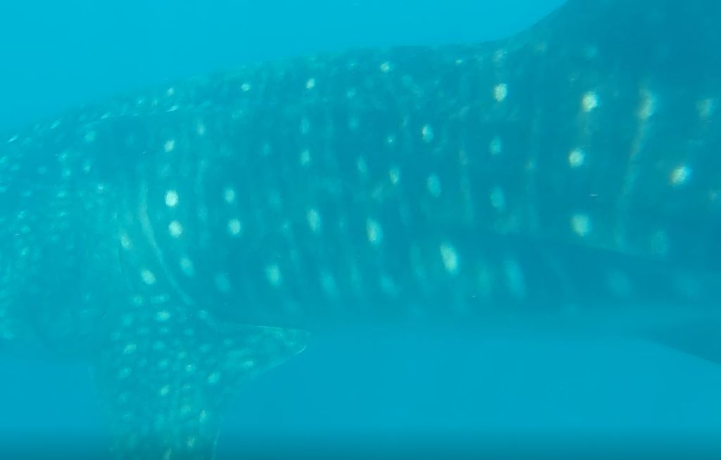 3217982d-c99c-4b0b-a0f7-0c2a11a7bddd