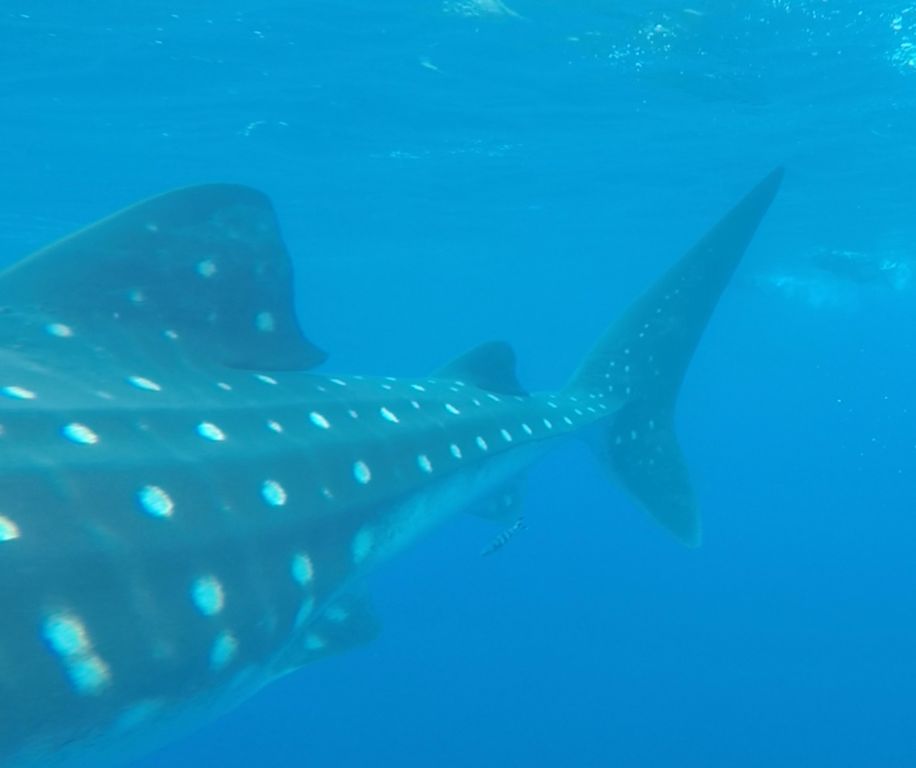 2edb7da7-076d-4c60-b358-b49a182006bd