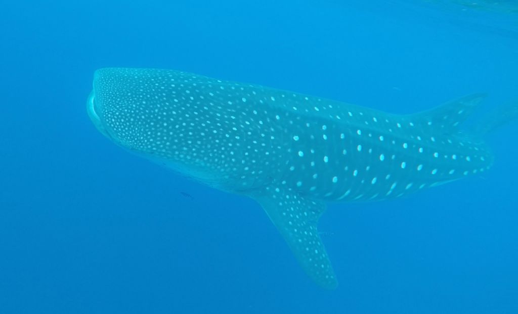 2edb7da7-076d-4c60-b358-b49a182006bd