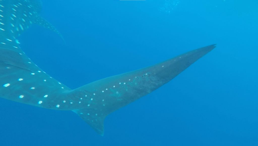 2edb7da7-076d-4c60-b358-b49a182006bd