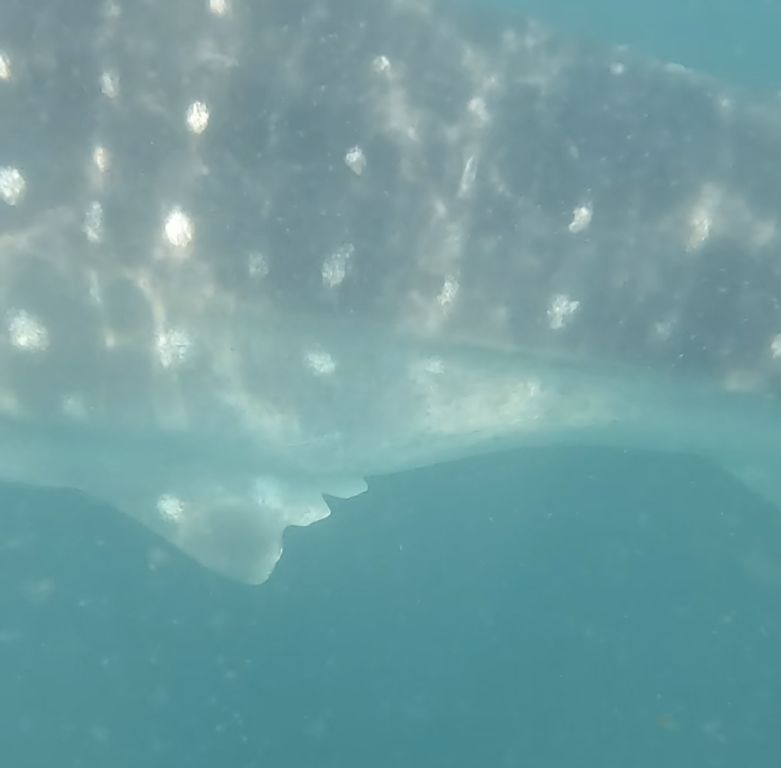 17144daa-32ba-48a0-b9a9-f4349556bc0e